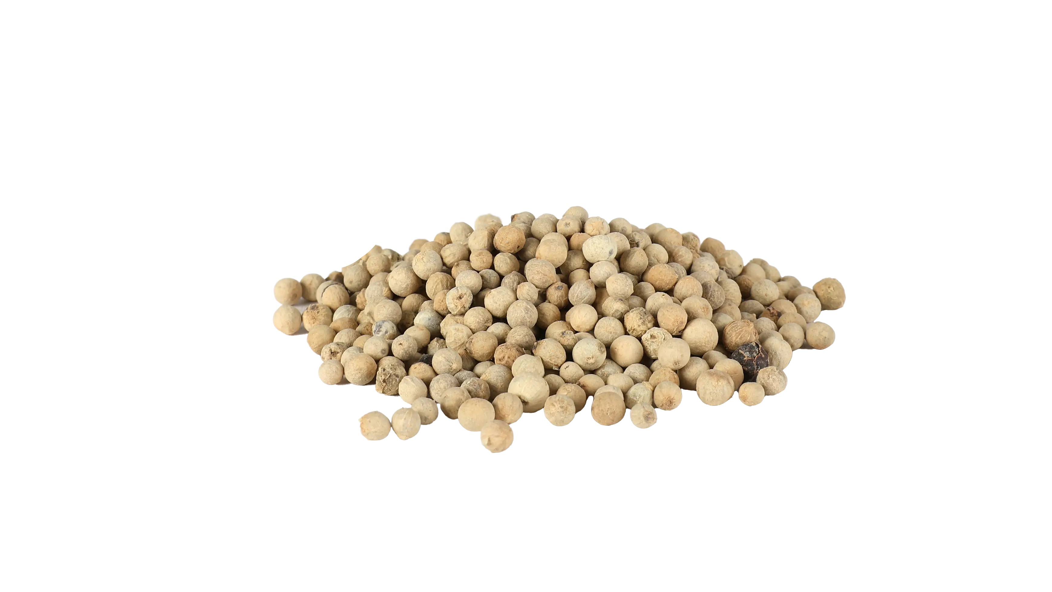 MUNTOK PEPPER ALL "WHITE"